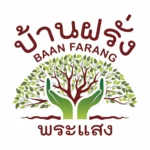 Baanfaranghomestayphrasaeng